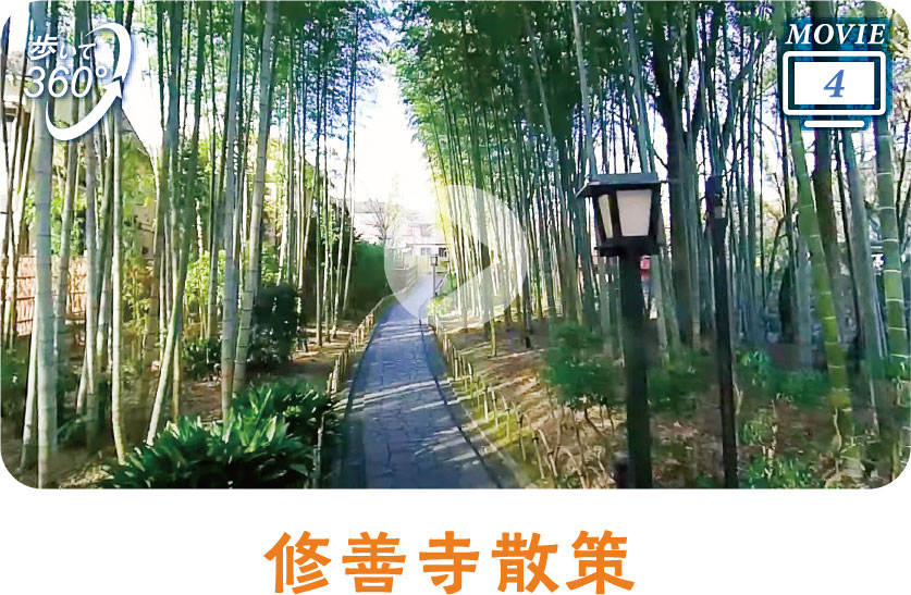 修善寺散策