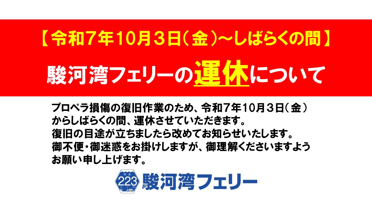【重要】プロペラ損傷に伴う運休について