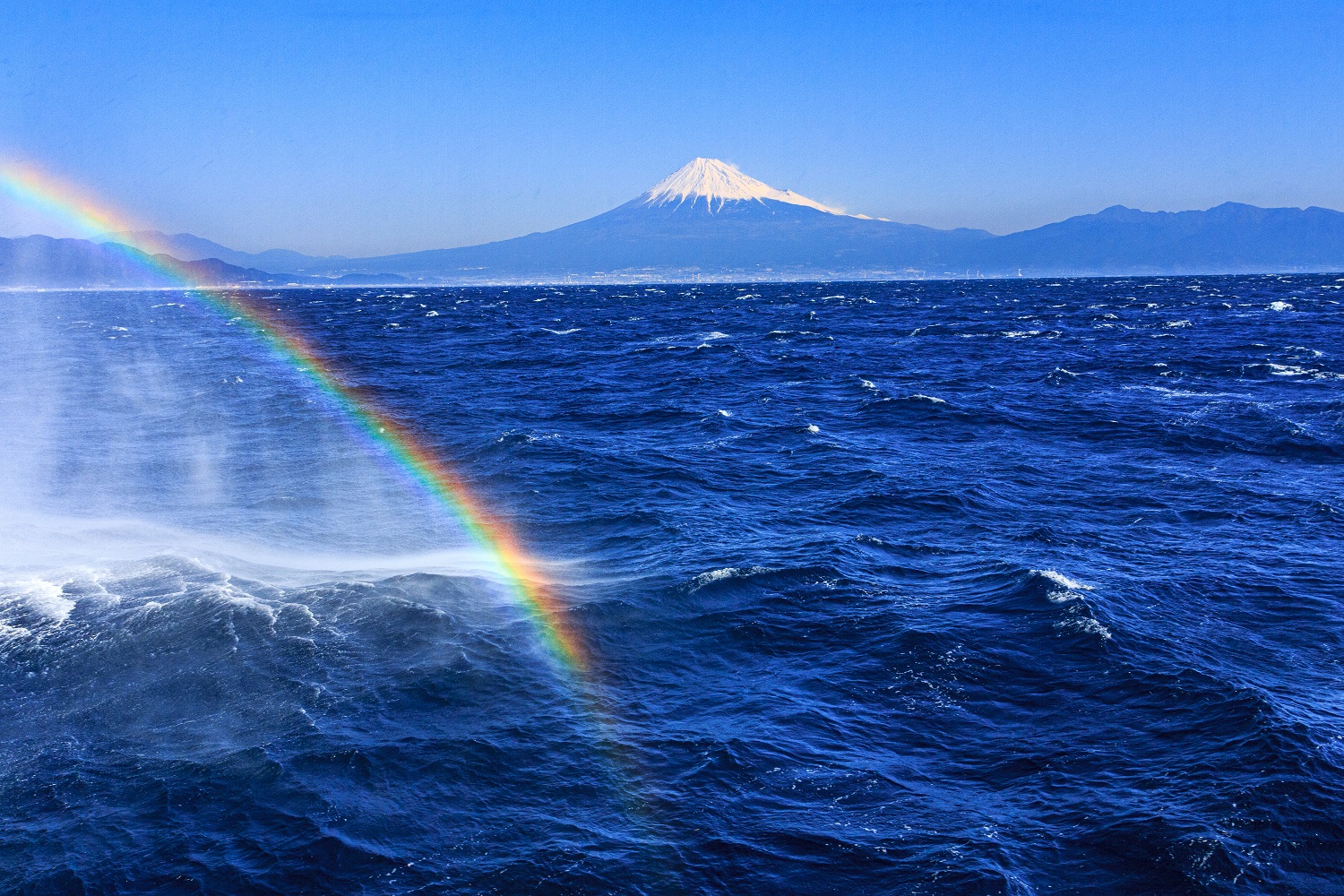 【静岡市・伊豆2市3町の皆様限定!】駿河湾フェリーに乗って出かけよう♪旅客運賃半額キャンペーン♪【環駿河湾観光交流活性化協議会】