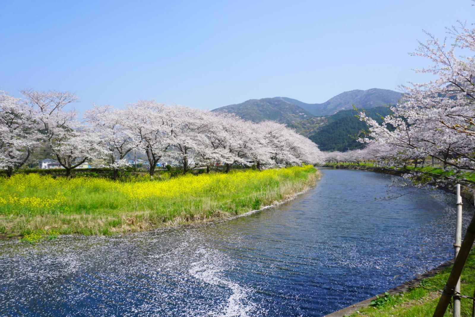 【市町部門】入選