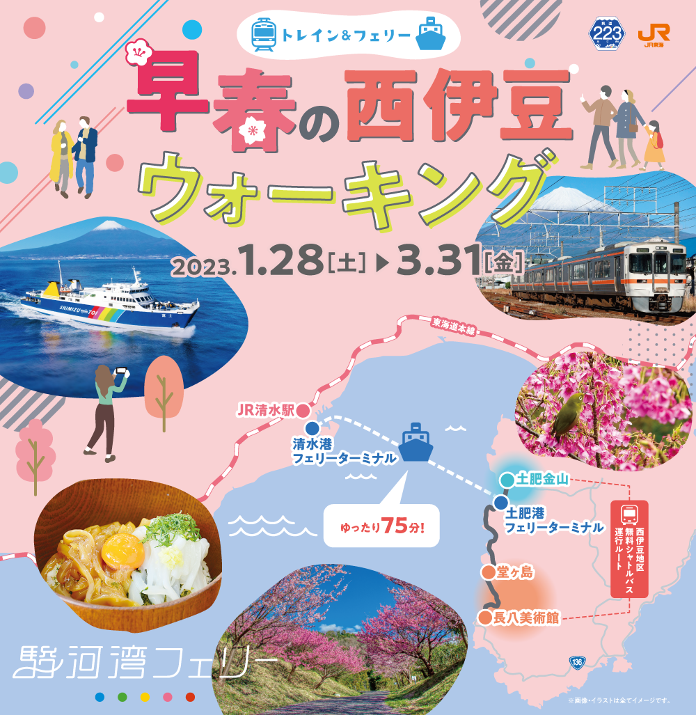 電車・フェリーを利用して西伊豆へウォーキングに出かけませんか?