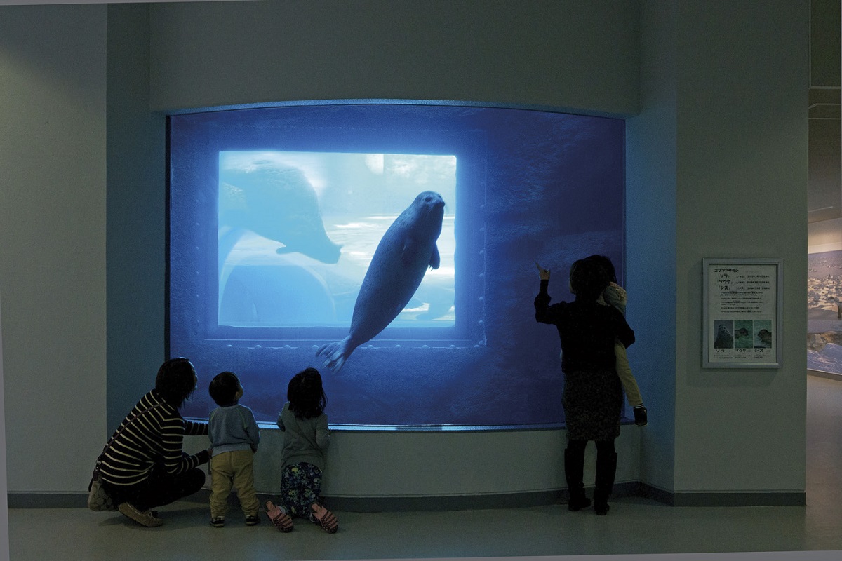サブ画像2
